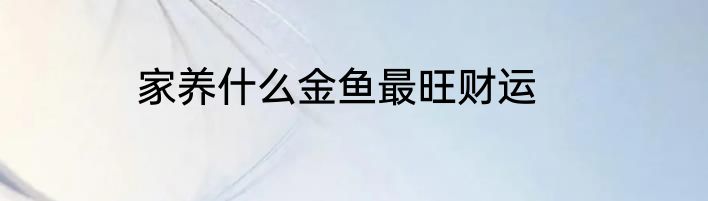 家养什么金鱼最旺财运