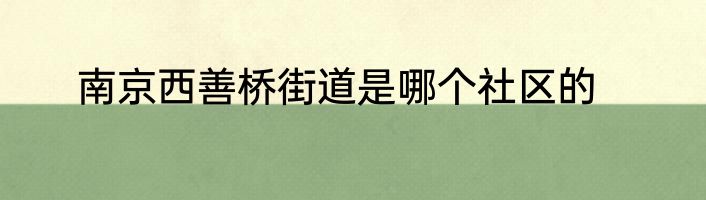 南京西善桥街道是哪个社区的