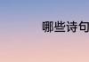 哪些诗句是描写雪花的