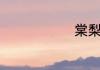 棠梨煎雪歌词