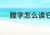 膛字怎么读它可以组成什么词语