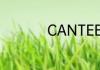 CANTEEN是什么意思