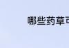 哪些药草可以治疗糖尿病