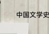 中国文学史考研袁行霈资料