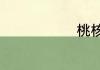 桃核如何种植