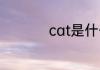 cat是什么牌子挖掘机