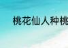 桃花仙人种桃树又摘桃花换酒钱