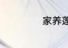 家养莲花竹怎么养