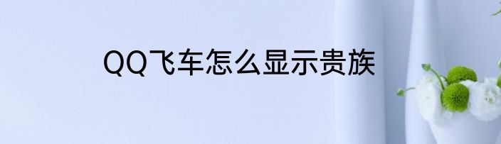 QQ飞车怎么显示贵族