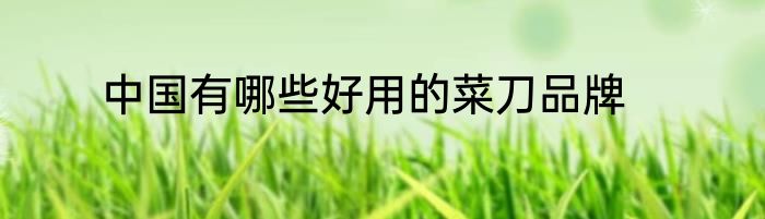 中国有哪些好用的菜刀品牌