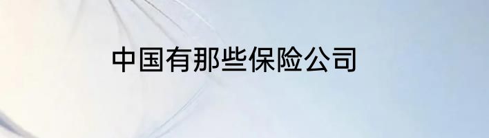 中国有那些保险公司