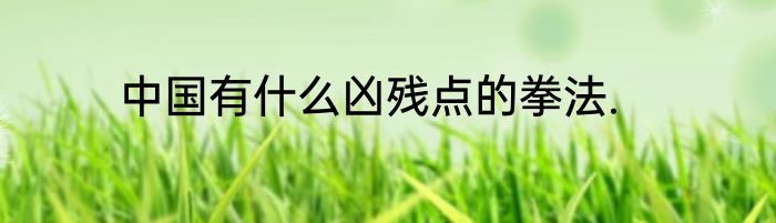 中国有什么凶残点的拳法.