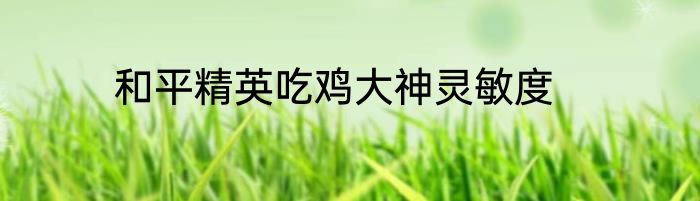 和平精英吃鸡大神灵敏度