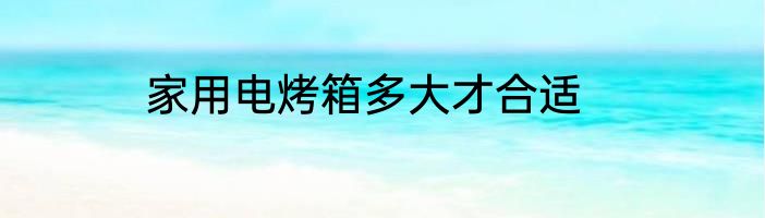 家用电烤箱多大才合适