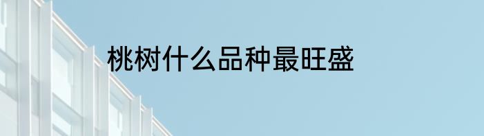 桃树什么品种最旺盛