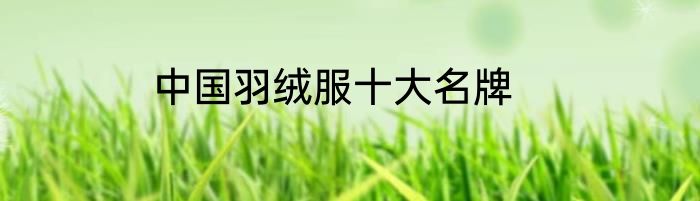 中国羽绒服十大名牌