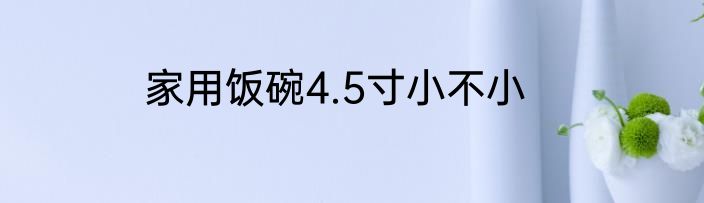 家用饭碗4.5寸小不小