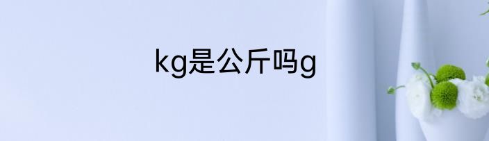 kg是公斤吗g
