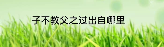 子不教父之过出自哪里