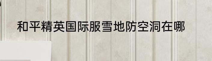 和平精英国际服雪地防空洞在哪