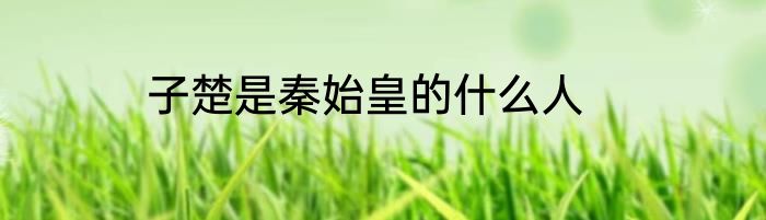 子楚是秦始皇的什么人