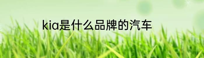 kia是什么品牌的汽车
