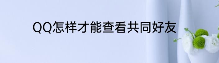 QQ怎样才能查看共同好友