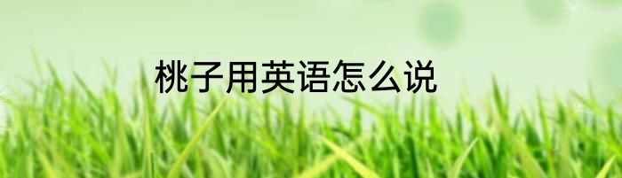 桃子用英语怎么说