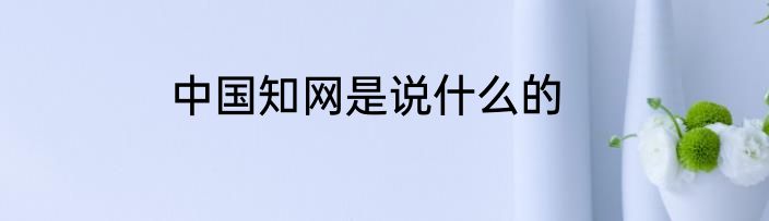 中国知网是说什么的