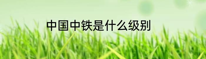 中国中铁是什么级别