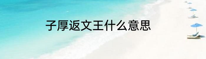 子厚返文王什么意思