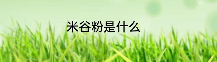 米谷粉是什么