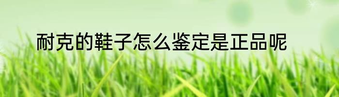 耐克的鞋子怎么鉴定是正品呢