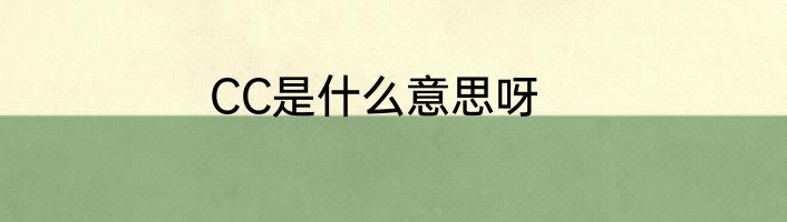 CC是什么意思呀