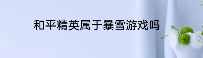 和平精英属于暴雪游戏吗