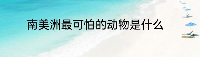 南美洲最可怕的动物是什么