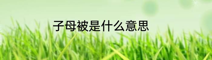 子母被是什么意思