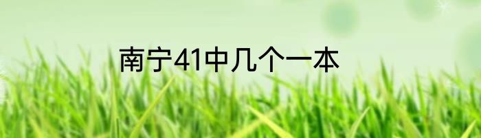 南宁41中几个一本