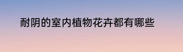 耐阴的室内植物花卉都有哪些