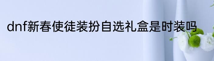 dnf新春使徒装扮自选礼盒是时装吗