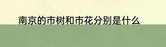 南京的市树和市花分别是什么