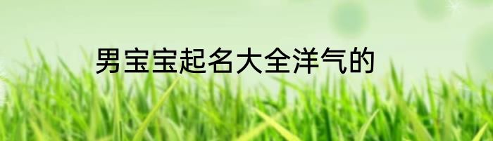 男宝宝起名大全洋气的