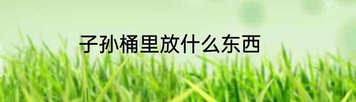 子孙桶里放什么东西