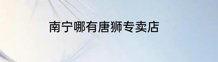 南宁哪有唐狮专卖店