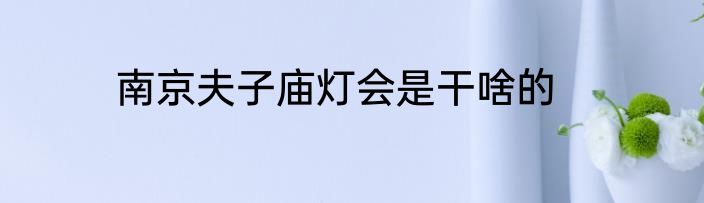 南京夫子庙灯会是干啥的