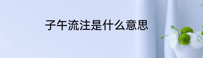子午流注是什么意思