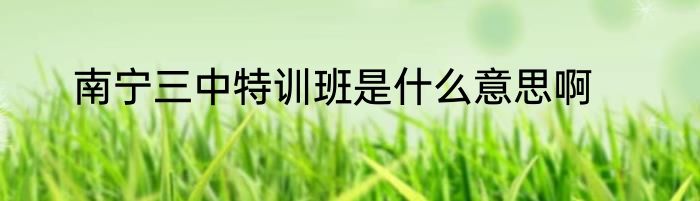 南宁三中特训班是什么意思啊
