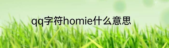 qq字符homie什么意思