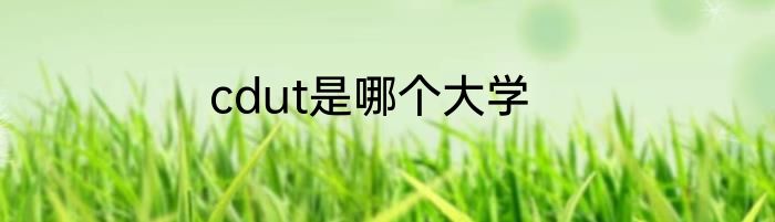 cdut是哪个大学