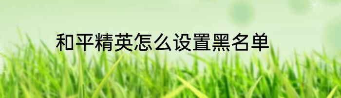 和平精英怎么设置黑名单